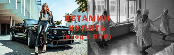 прущие грибы Россошь