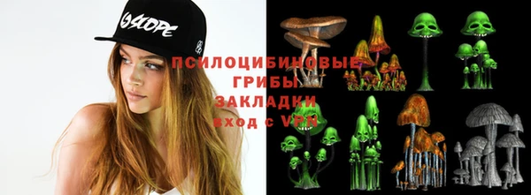 стаф Рославль