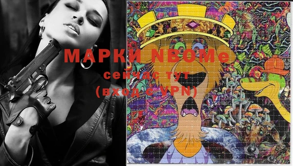 прущие грибы Россошь