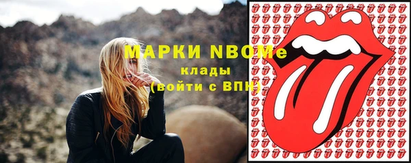 стаф Рославль