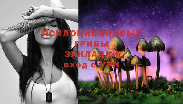 шишки Саяногорск
