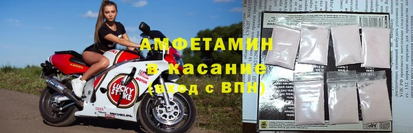 прущие грибы Россошь