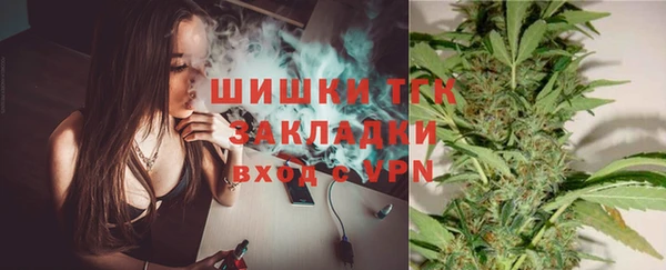 прущие грибы Россошь