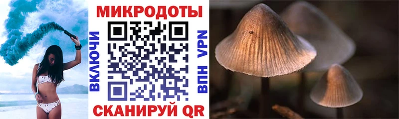 Псилоцибиновые грибы MAGIC MUSHROOMS  Бабаево 